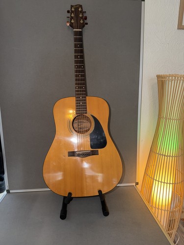 Fender gemini acoustic - ii,
