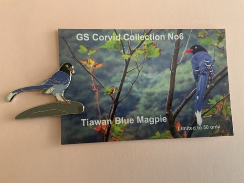 None rspb badge tiawan blue - badge,