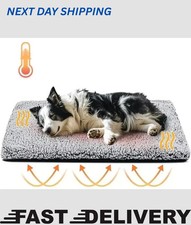 Self heating pet - mat, dog