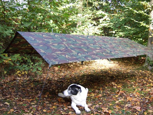 Dpm woodland camo waterproof - dpm,