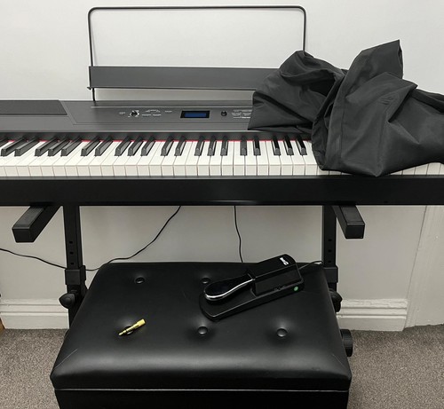 Alesis recital pro electric