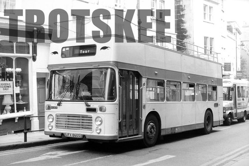 35mm negative badgerline - negative,