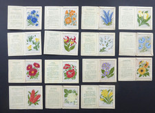 Cigarette Trade Cards (Silks) : 15 Wix Silk Flowers (L)