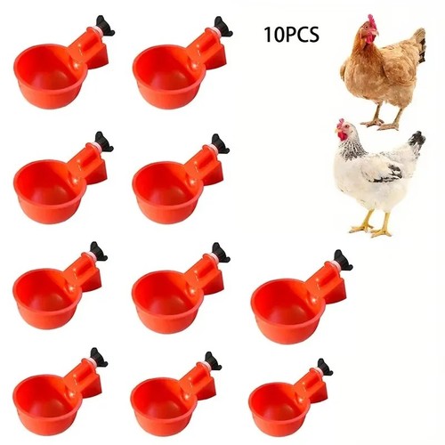Automatic chicken water cup - chicken,