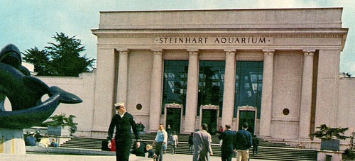 Vintage postcard steinhart - vintage,