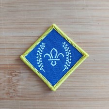 Current UK Scouting Chief Scout Platinum Award Uniform Badge NEW LOGO