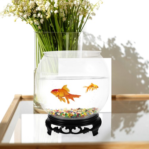 Set unbreakable fish - unbreakable,
