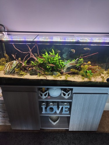 250 litre fish tank with - litre,
