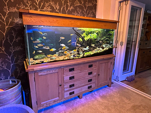 Aqua oak 180cm 420l - aqua, 180cm/420l