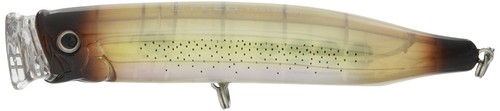 Tackle house lure feed popper - tackle,