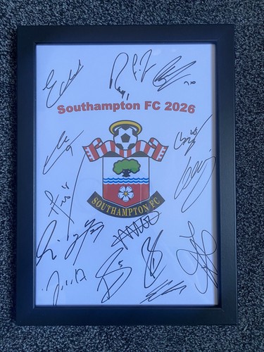 Southampton football club - club, fc