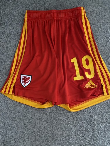 Adidas wales 2020 - wales, 2020/21