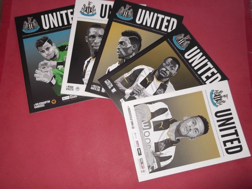 2016 newcastle united home - 2016/17,