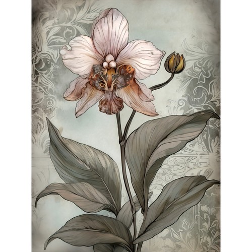 Art nouveau pink - nouveau, orchid