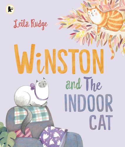 Winston the indoor - winston, &