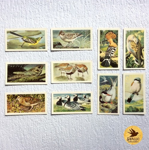 1965 brooke bond - 1965, cards