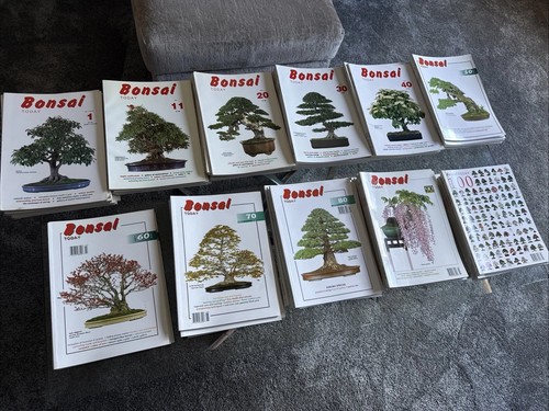 Bonsai today magazine bundle - magazine,