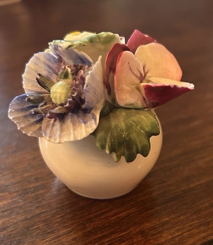 Staffordshire radnor flower - flower, in
