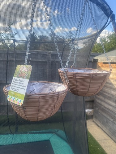 Summer bloom hanging - ,