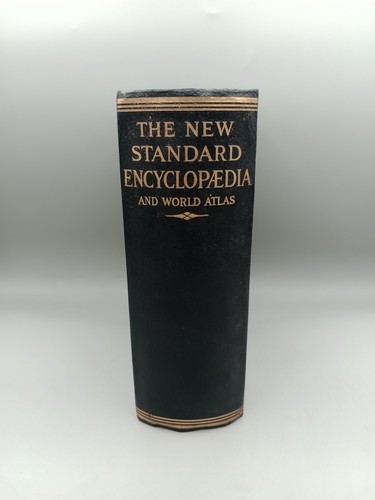 The new standard - standard, encyclopedia