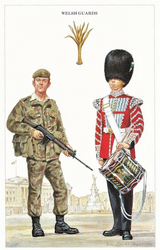 Welsh guards regimental - welsh,