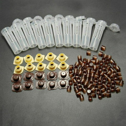 Bee queen rearing - rearing, cupkit