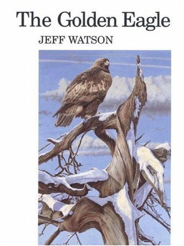 The golden eagle by - the,