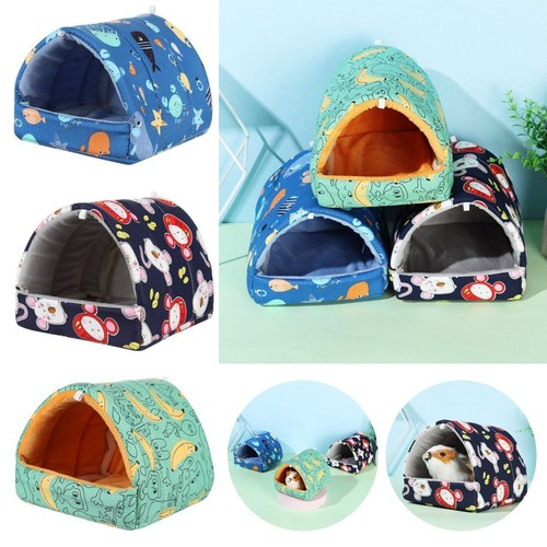 Winter guinea pig - winter,