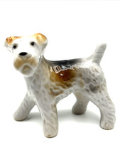 Wire Fox Terrier Dog  Puppy