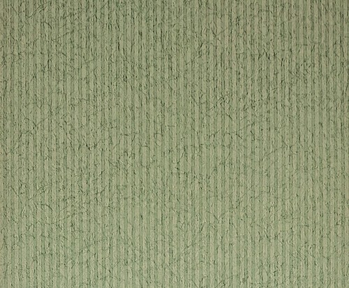 207351 carrera shades green - 207351,