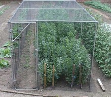 FRUIT & VEG CAGE / 2M x 2M x 2M MODULAR STEEL DESIGN / HIGH QUALITY / HEAVY DUTY