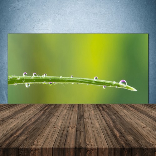 Kitchen rear wall glass