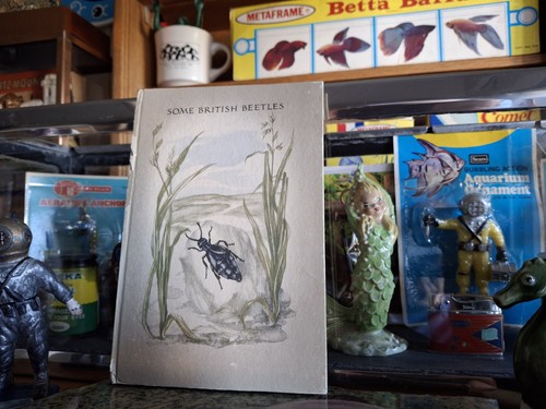 Vintage old aquarium - vintage, beautiful
