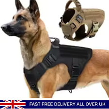 Tactical Dog Harness & Leash
