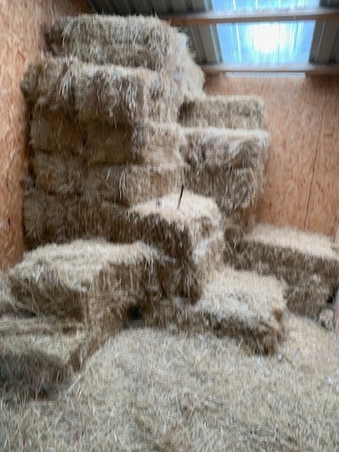 Small hay bales - small,