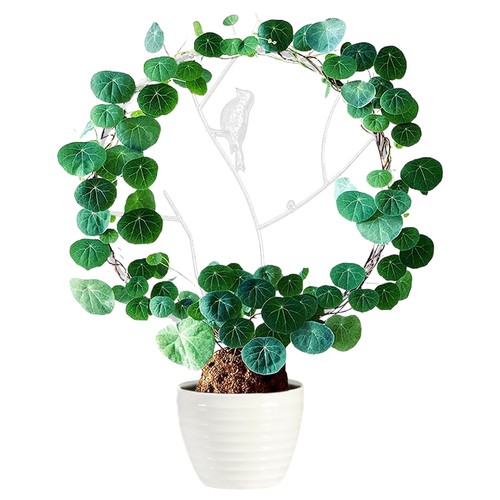 Vine climbing rack - vine,