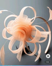 Ladies Net & Features Looped Fascinator Wedding Races Prom on Clip and Headband