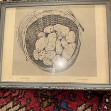 "potato Basket" By Beth Van