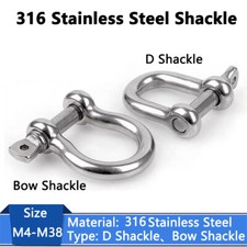 316 Stainless Steel D Shackle