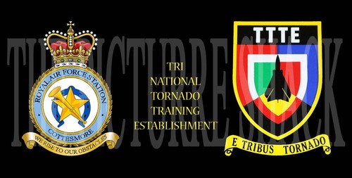 Ttte badge raf - raf, cottesmore