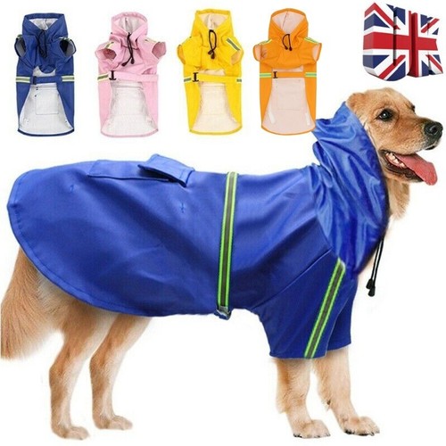 Rain coat pet dog - coat, jacket
