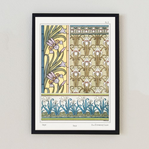 1896 vintage botanical - vintage, flowers
