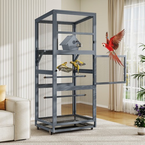 Wooden bird cage - bird, outdoor