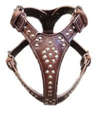 Beautiful Studded Brown