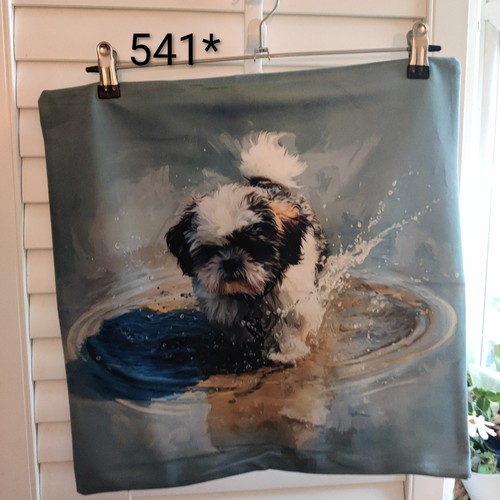 Shih tzu llasa apso peachy - shih,