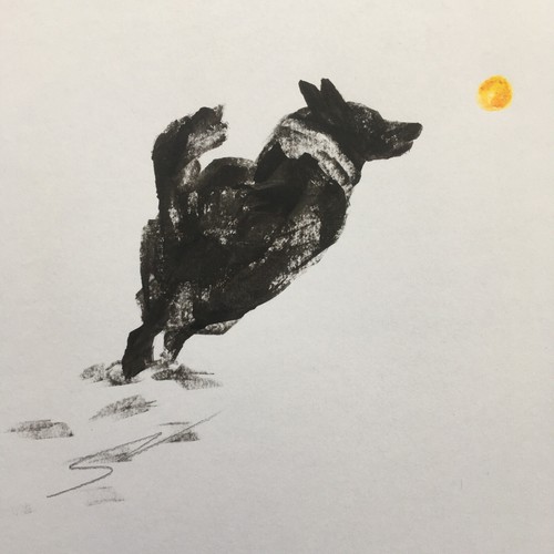 Original signed ink - signed,