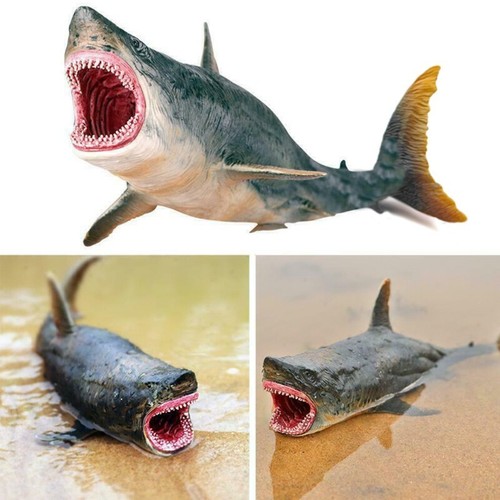 Realistic megalodon shark - megalodon,
