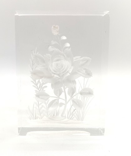 Vintage lucite reverse carved - vintage,