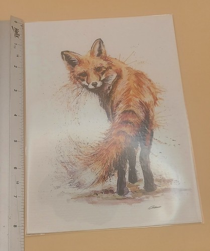 Fox watercolour print unframed - watercolour,