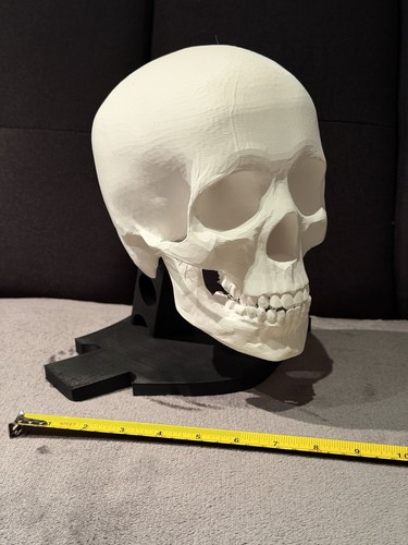 Skull motorcycle helmet holder - skull,